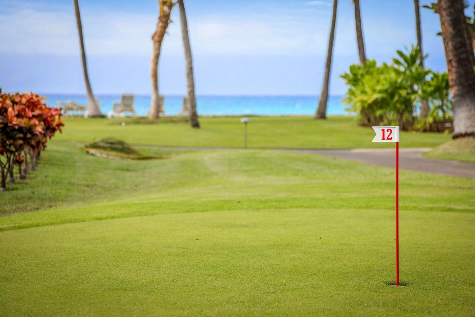 Aston At Papakea Resort Lahaina Εξωτερικό φωτογραφία